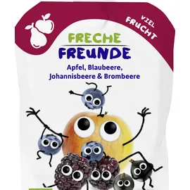 Erdbär Freche Freunde Bio Apfel, Blaubeere, Johannisbeere & Brombeere 100 g