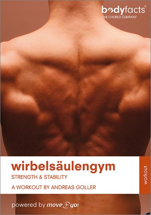 Wirbelsäulengym Strength &Amp Stability - WIRBELSÄULENGYM strength & amp stability. (CD)
