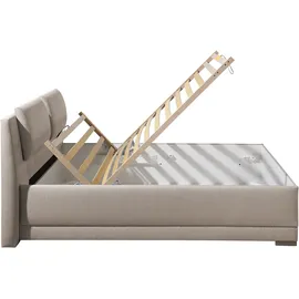 MAINTAL Polsterbett MAINTAL Oderzo Betten Gr. Liegefläche B/L: 140 cm x 200 cm Betthöhe: 44,5 cm, Gewicht bis: 80 kg H2, Bonnell-Federkernmatratze, grau (taupe) Polsterbetten mit Bettkasten Kopfteilverstellung, Matratzen in oder H3 wählbar