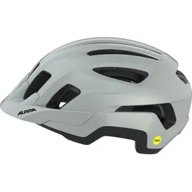 Alpina Paranus MIPS 55-59 cm grau 2025