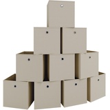 VCM 10er Set Faltbox Boxas