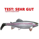 Jackson The Trout 13cm Gummifisch Hecht Angeln Köder. Test SEHR GUT. Rainbow Trout. 2St. Angelköder Shad. Profi Hechtköder und Zanderköder. Gummiköder Softbait