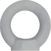 Kleinsorge Ringmutter DIN 582 Gew.M10 STA C15 ZN 50St./VE