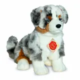 Teddy-Hermann Australian Shepherd Welpe