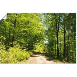 Artland Wandbild »Blauer Himmel über dem Wald im Mai«, Wald, (1 St.), als Leinwandbild, Poster in verschied. Größen Artland Farbe Bild(er): grün