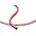 Quattroflex Top 25 rot