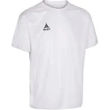 Select Argentinien Heimtrikot 2024 Herren Gr. S