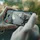 Ring Indoor Camera 2nd Gen Weiß 2er Pack