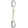 Black Diamond Alpine Quickdraw