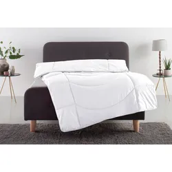 Microfaserbettdecke »Microlux, Bettdecke 135x200 cm, 155x220 cm, 200x200 cm«, 4-Jahreszeiten, Füllung Polyester (3D-Klimafaser), Bezug Polyester (Microfaser-Feinbatist), (1 St.), Bettdecken in 4 Farben, Sommer, Winter, 4 Jahreszeiten, Decke, Bettdecke,...