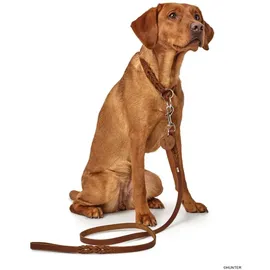 Hunter Verstellbare Führleine Solid Education