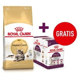 Royal Canin Adult Maine Coon 10 kg