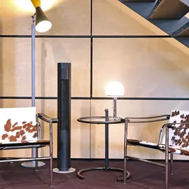 Stadler Form Peter 30 cm Turmventilator Schwarz