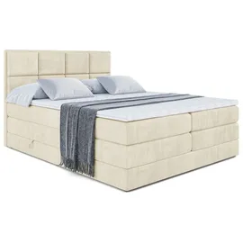 altdecor Boxspringbett mit Matratze, Topper, Polsterbett mit, Bettkasten NOVA KING | Beige Monolith | 140x200