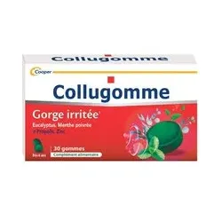 Collugomme Gomme Aux Fruits 45 g