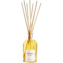 the olfactory Raumduft Dark Amber 100 ml