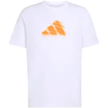 adidas Clay Is Not Graphic weiß XL