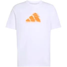 adidas Clay Is Not Graphic weiß XL