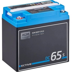 ECTIVE ECTIVE Deep Cycle AGM Batterie 12V 65Ah m Display für Wohnmobil Batterie