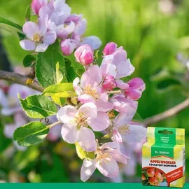 Silberkraft Apfelwickler Pheromon-Dispenser 3 St.