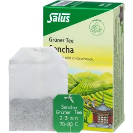 SALUS Grüner Tee Teebeutel 15 St.