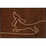 Wash+Dry WASH + DRY Fußmatte 50 x 75 cm Motiv DAYDREAMER Dackel