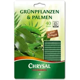 Chrysal Grünpflanzen & Palmen Düngestäbchen - 40 Stück