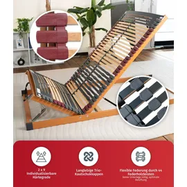 erbengemeinschaft heinz-peter fischer, fmp matratzenmanufaktur 7 Zonen Lattenrost Rhodos KF Bettkasten 140x190 cm