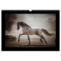Calvendo Die Faszinierende Welt der Pferde (Wandkalender 2026 DIN