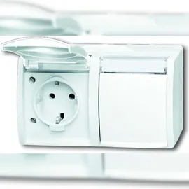 Busch-Jaeger Steckdose 2fach waagerecht 20/2 EWN-54