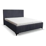 venasi Möbel Polsterbett Dunkelgrau, mit Bettkasten ohne Matratze Velour WHISPER 19 Bett - Dunkelgrau