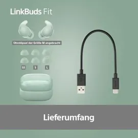 Sony LinkBuds Fit grün (WFLS910NG.CE7)