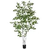 Europalms Birkenbaum, 180cm