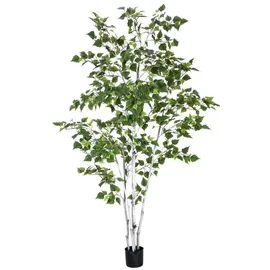 Europalms Birkenbaum, 180cm