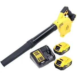 DeWalt DCV 100 P2 inkl. 2 x 5,0 Ah + Ladegerät