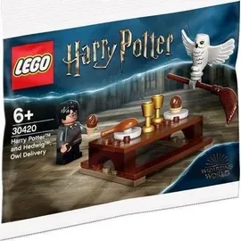LEGO Harry Potter and Hedwig Eulenlieferung 30420