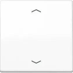 Jung Steuertaste Standard Symbole Pfeile AS 1700 P WW