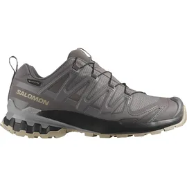 Salomon XA Pro 3D V9 GTX Damen Plum Kitten/Black/Gull 43