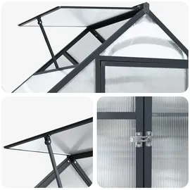 vidaXL Gewächshaus Alu Anthrazit Blankglas 0 mm 1,16 m2
