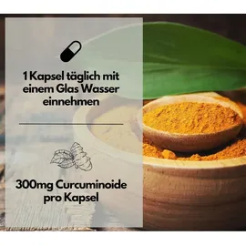 Exvital Curcuma Komplex Kapseln 120 St.