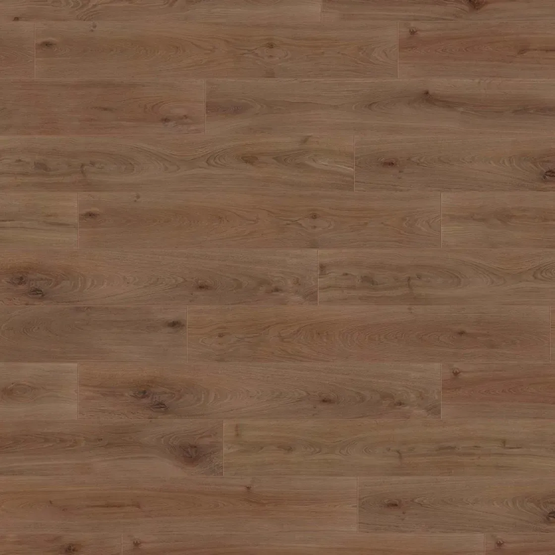 Wineo 1000 XL - Noble Oak Chocolate PL312R | BioBoden