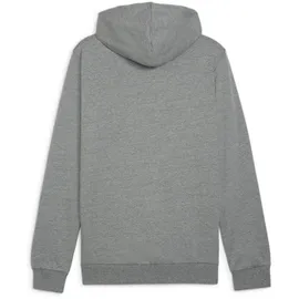 Puma teamGOAL Casuals Hoodie Herren 33 medium gray heather/white S