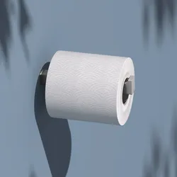 Keuco EDITION 11 Toilettenpapier-Ersatzrollenhalter, Accessoires, edelstahl-finish
