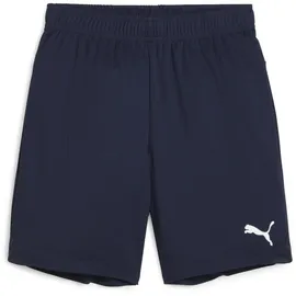 Puma teamGOAL Blau 164