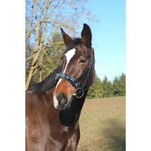 Covalliero Kerbl Leder, Exklusiv WB, Incl. Gebissriemen Kappzaum, Schwarz, Warmblut