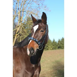 Covalliero Kerbl Leder, Exklusiv WB, Incl. Gebissriemen Kappzaum, Schwarz, Warmblut