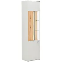 Hom ́in Vitrine L GLASGOW