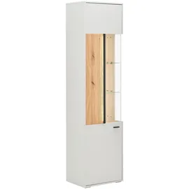 Hom ́in Vitrine L GLASGOW