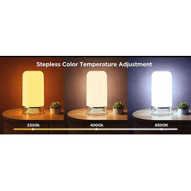 Govee RGBICWW dimmbare LED Tischlampe Mehrfarbig