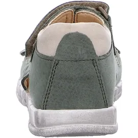 Däumling Morin - 24